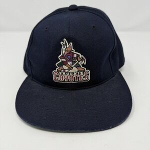 Vintage Phoenix Coyotes Hat Cap Snapback American Needle NHL Hockey Kachina 90s